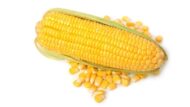 Corn