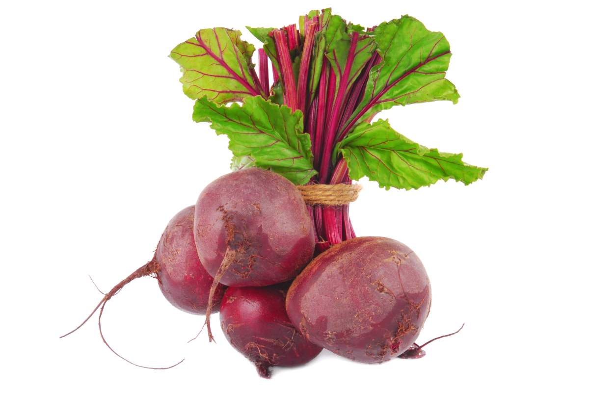 Beetroot