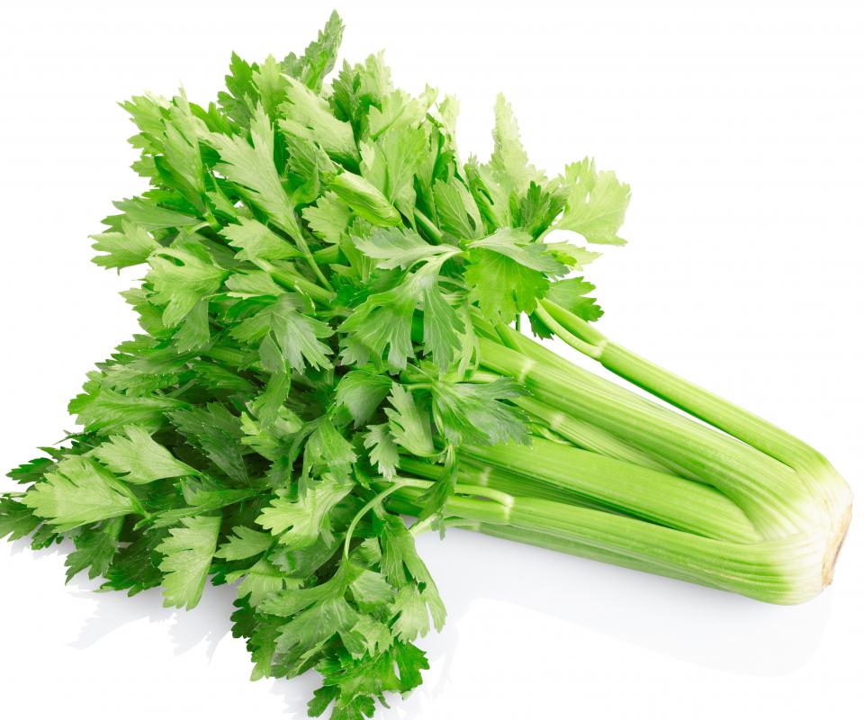 Celery