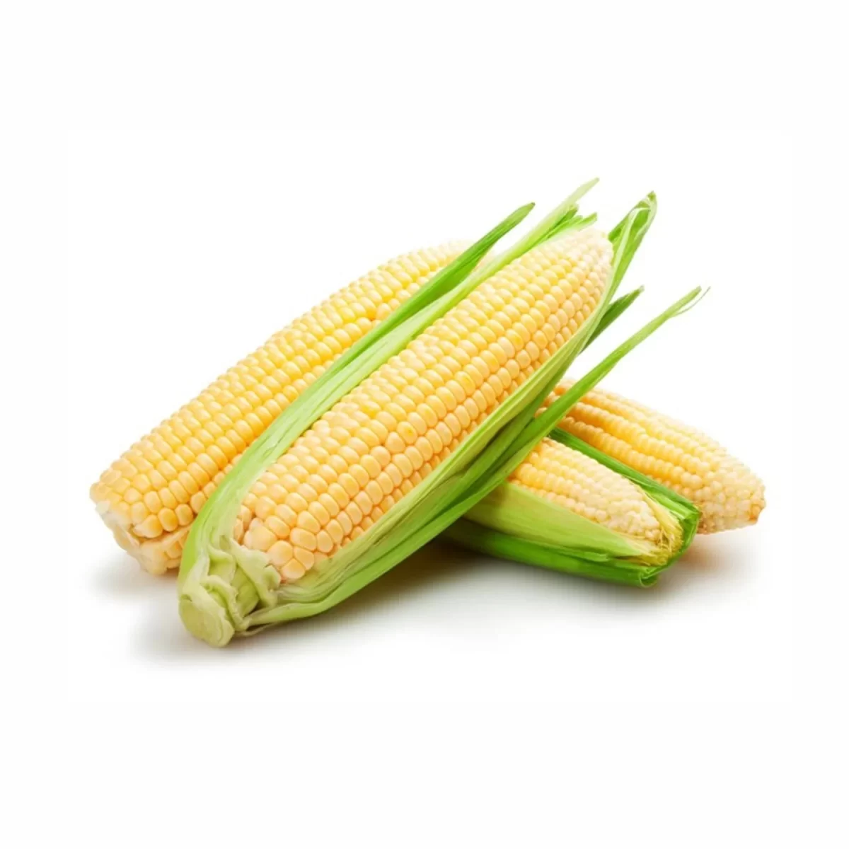 Corn