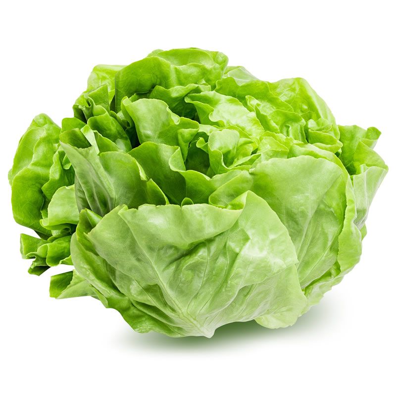 Lettuce