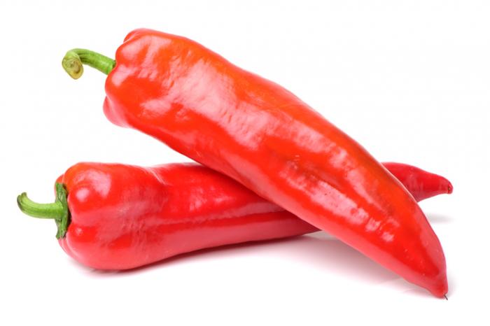 Red Chili pepper